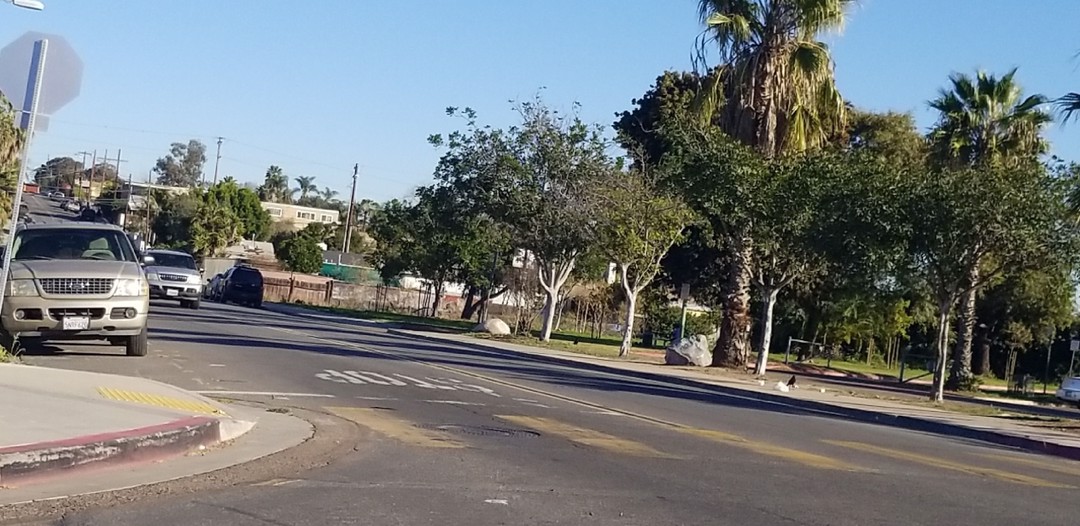 Alpha St, San Diego, CA 92113 #1