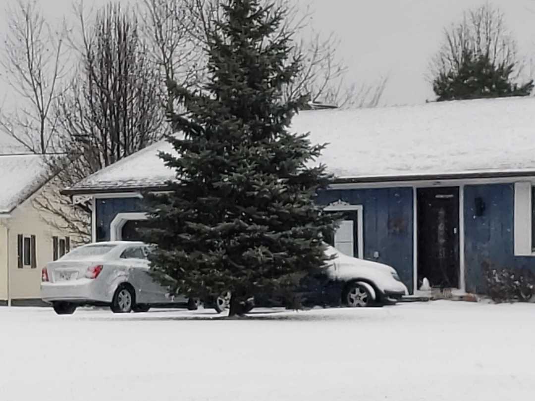 Carpenter Rd, Brunswick, OH 44212 #1