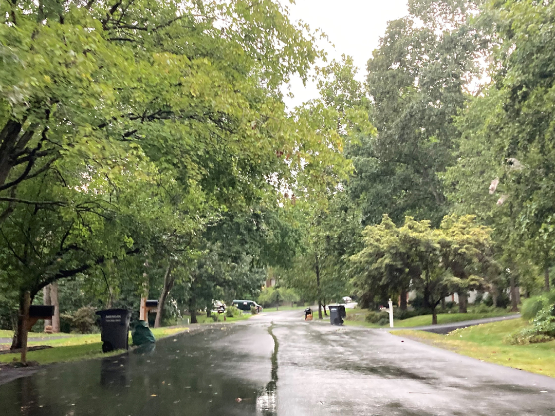 Holly Knoll Cir, Great Falls, VA 22066 #1