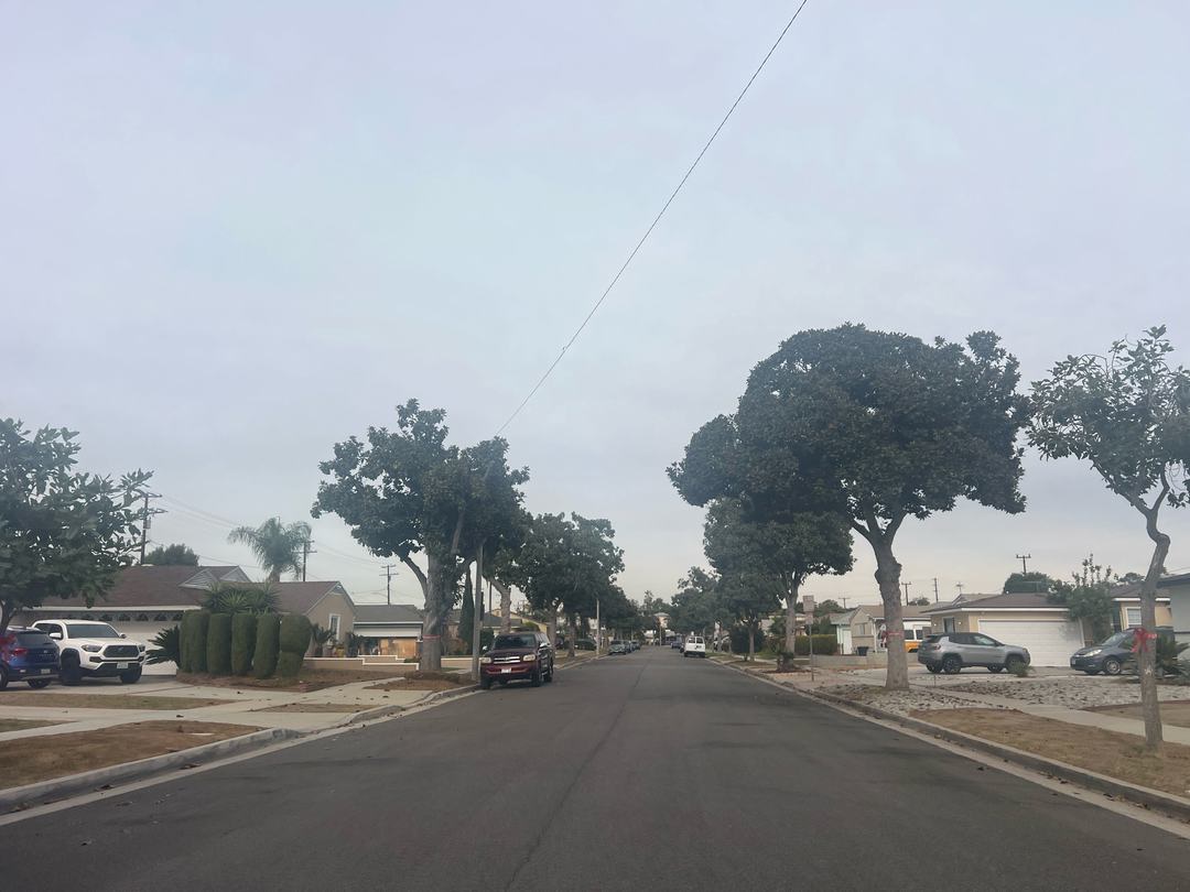 Haas Ave, Gardena, CA 90249 #1