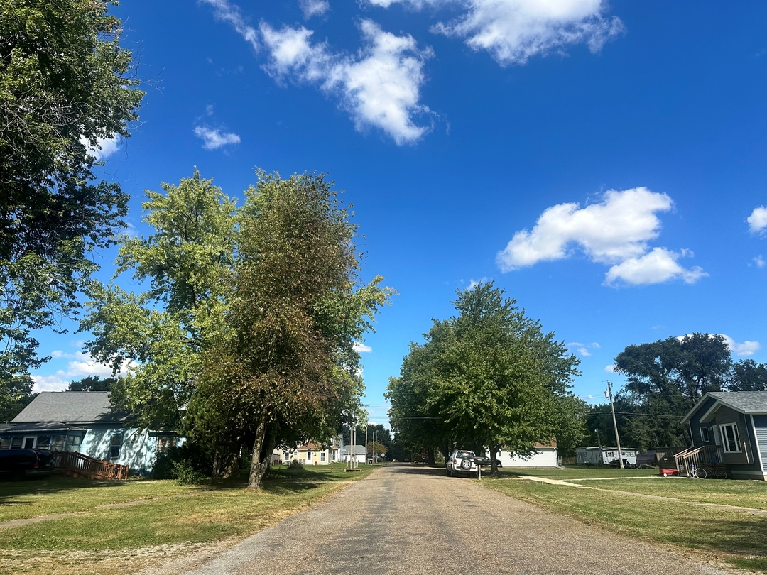 305 S Chestnut St, Winfield, IA 52659 ServiceLink Auction