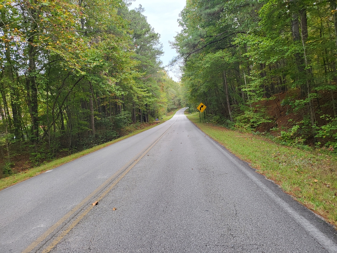 840 Corinth Poseyville Rd, Bremen, GA 30110 ServiceLink Auction