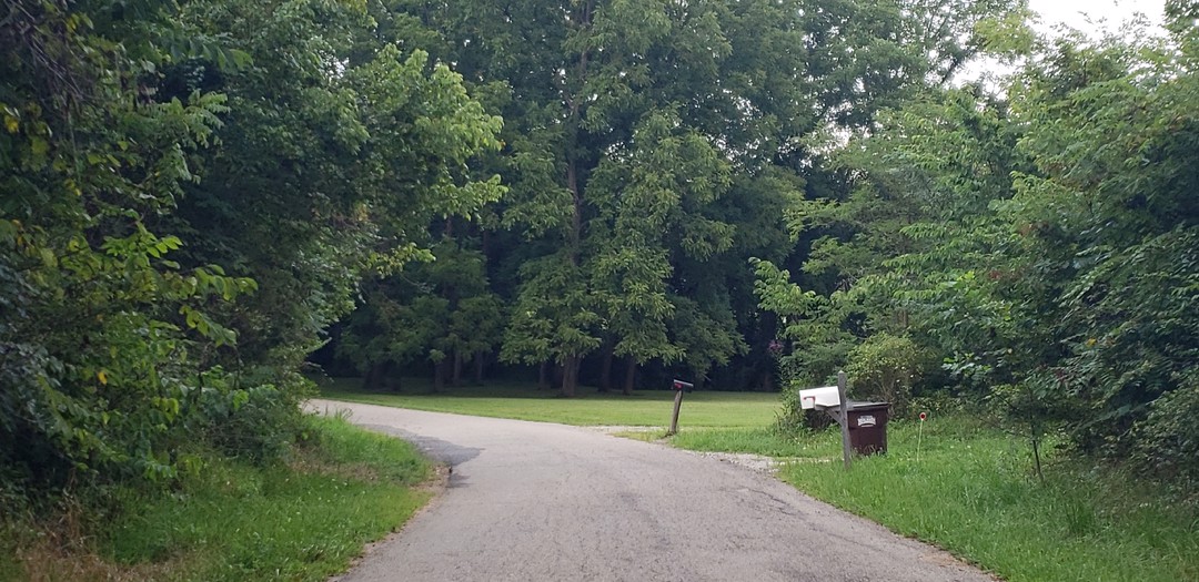 Alexander Hollow Rd, Bainbridge, OH 45612 #1