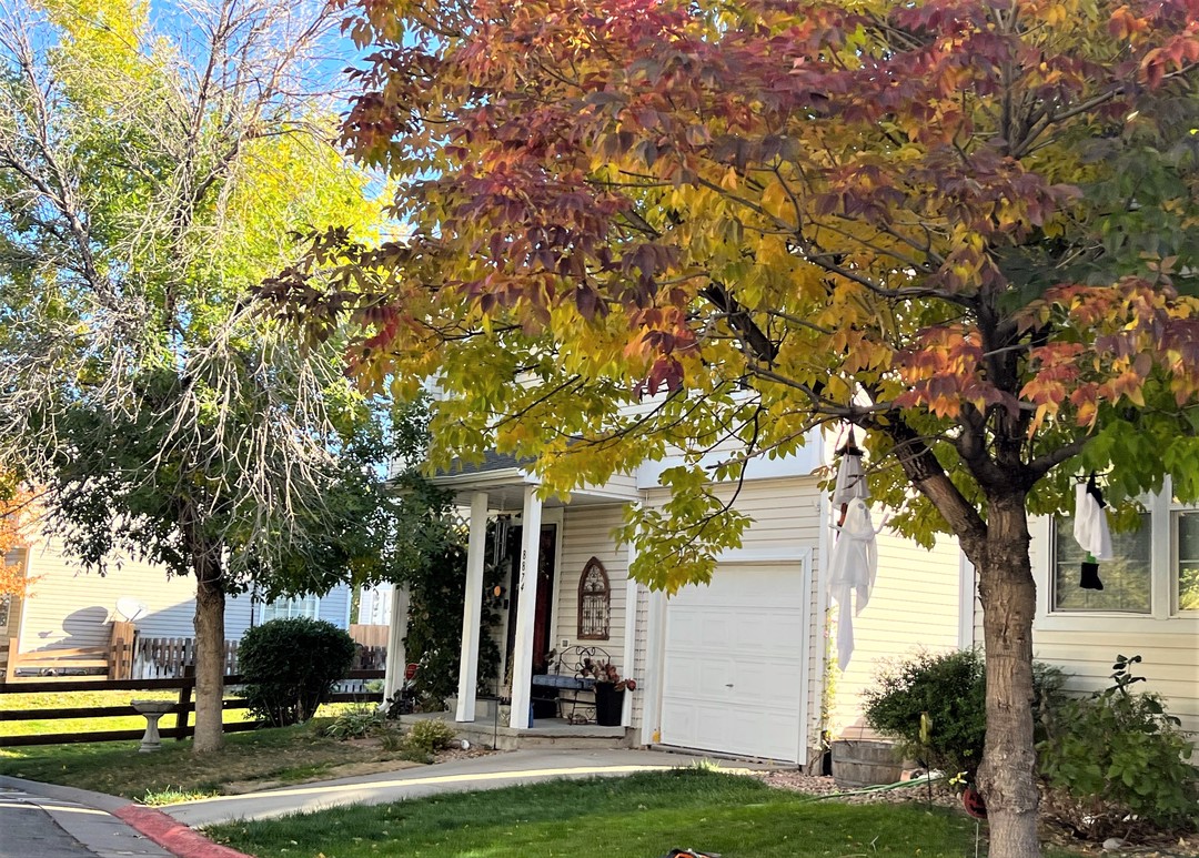 Lowell Way, Westminster, CO 80031 #1