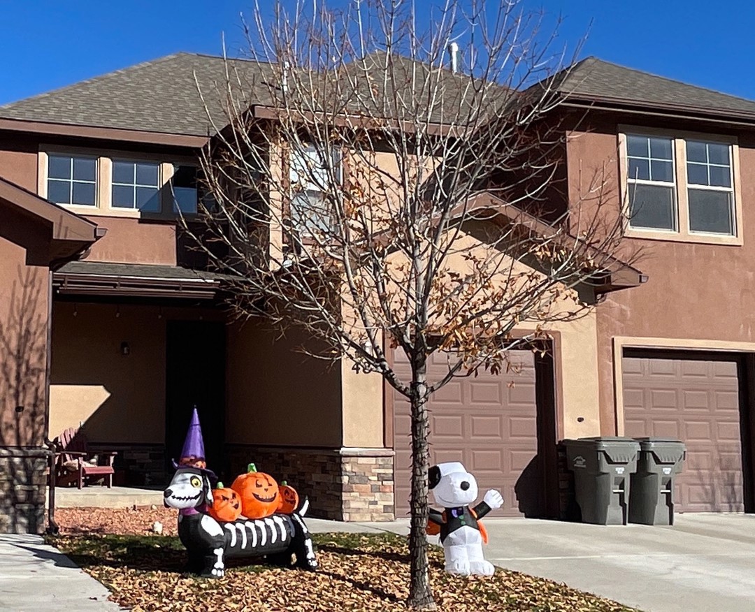 Foxwood Ln, New Castle, CO 81647