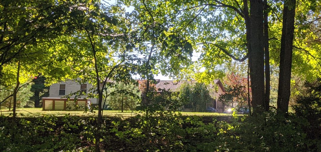 1750 Noble Rd, Williamston, MI 48895 ServiceLink Auction