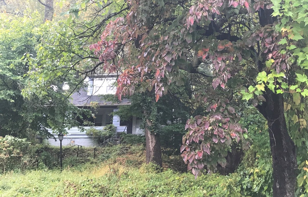 Cedar Dr, Gwynn Oak, MD 21207 #1