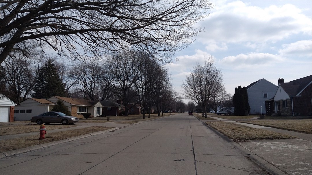 Old Homestead Dr, Harper Woods, MI 48225 #1