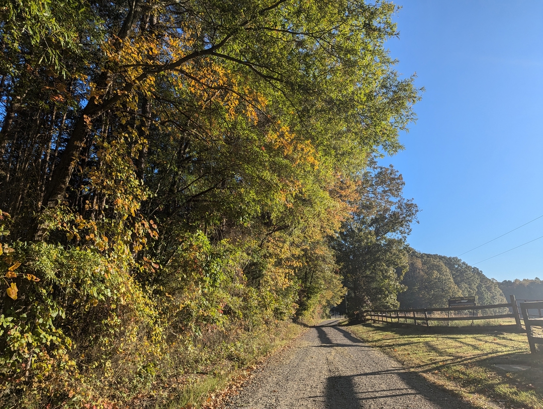 6337 Louisianna Rd, Locust Grove, VA 22508 ServiceLink Auction