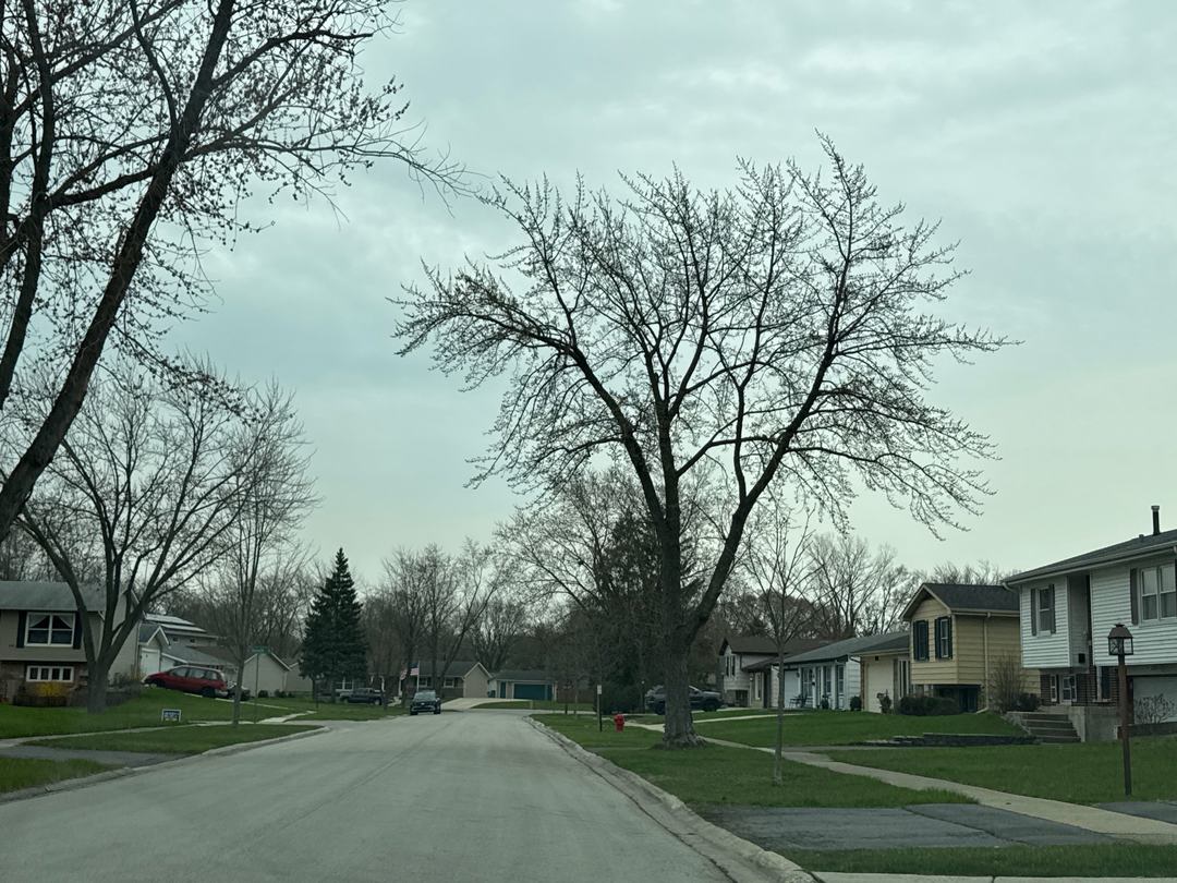 Dartmouth Ln, Hanover Park, IL 60133 #1