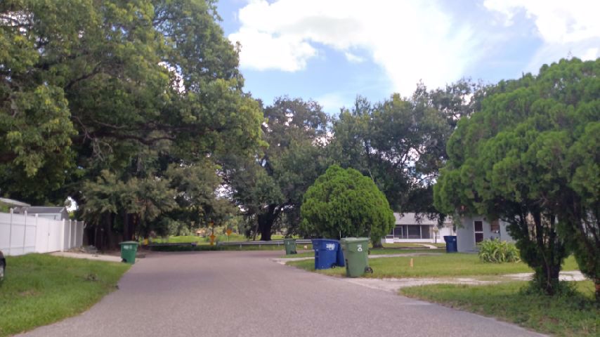 Henry Ave, Tampa, FL 33614 #1