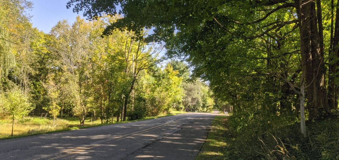 1750 Noble Rd, Williamston, MI 48895 ServiceLink Auction