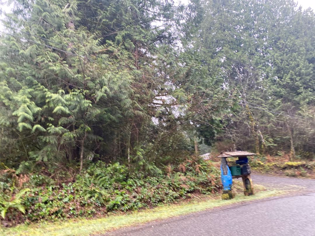 240th Ave, Issaquah, WA 98027 #1