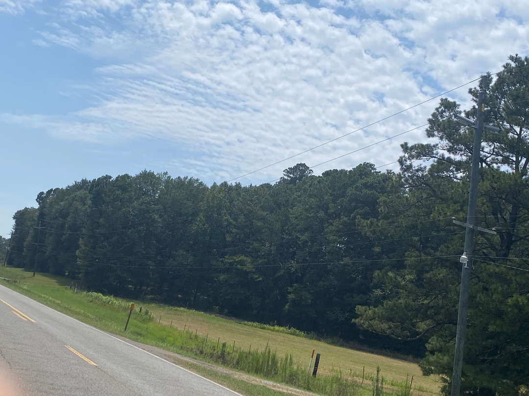 16529 Highway 17, Aliceville, AL 35442 ServiceLink Auction