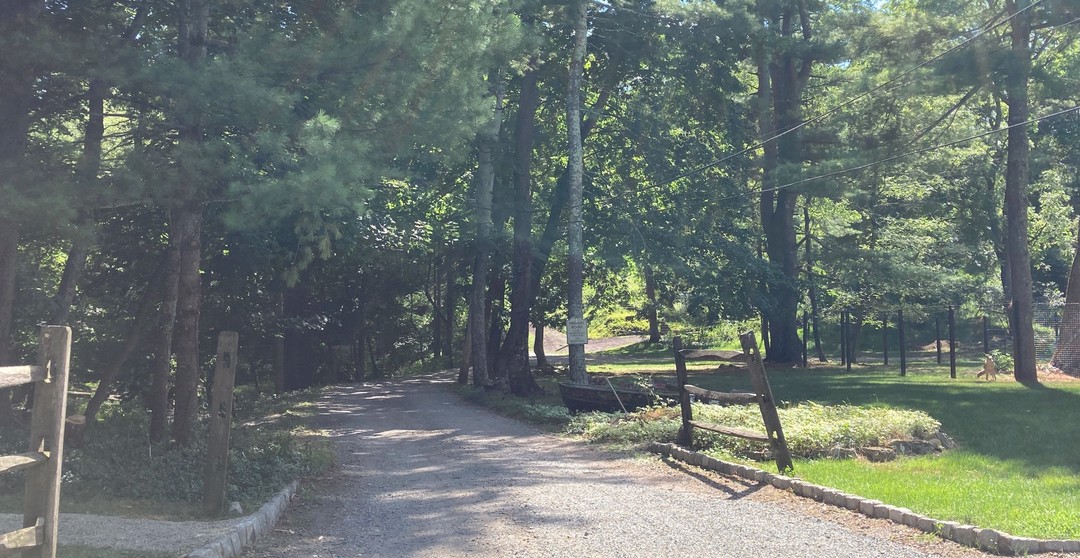 First St, Califon, NJ 07830
