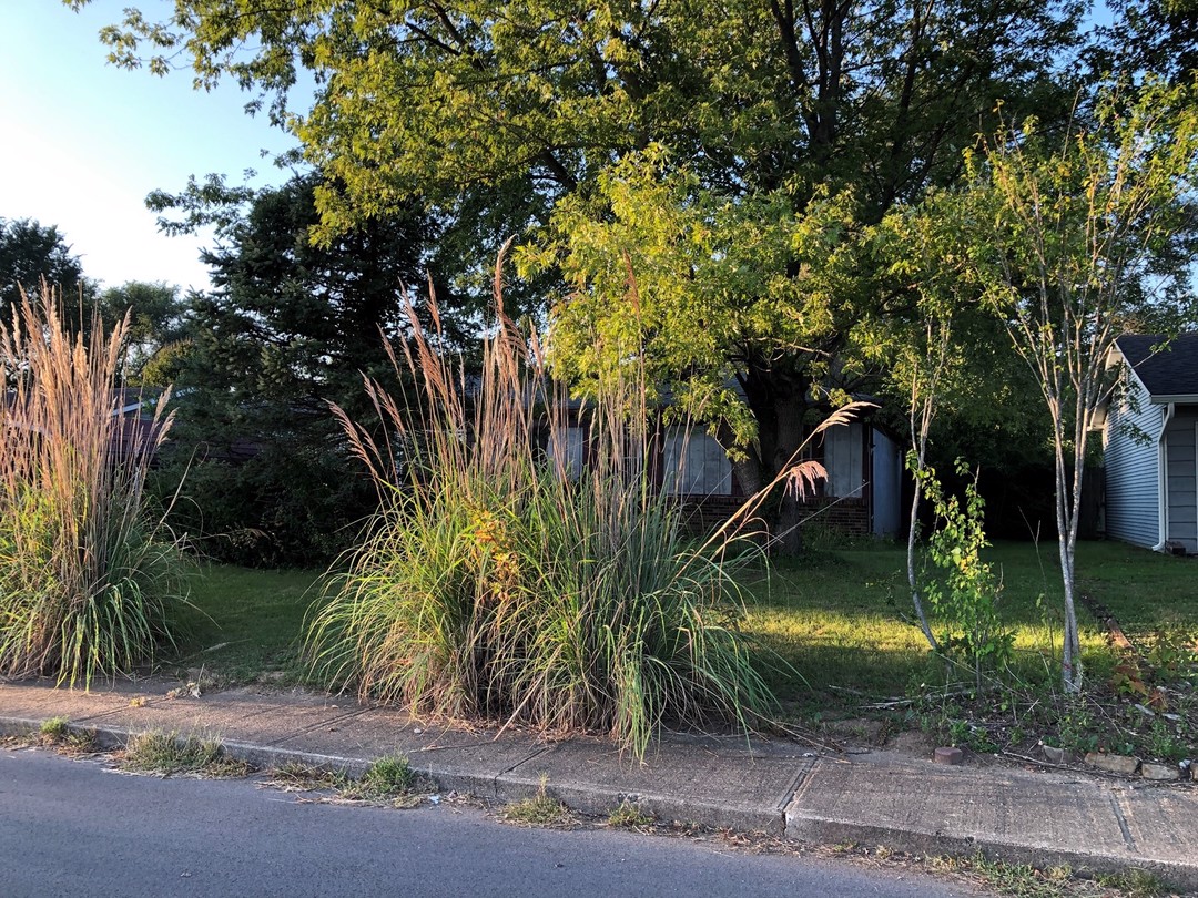 Tulip St, Martinsville, IN 46151 #1