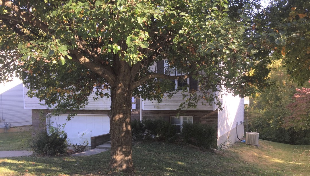 Saint Clair Ave, Collinsville, IL 62234 #1