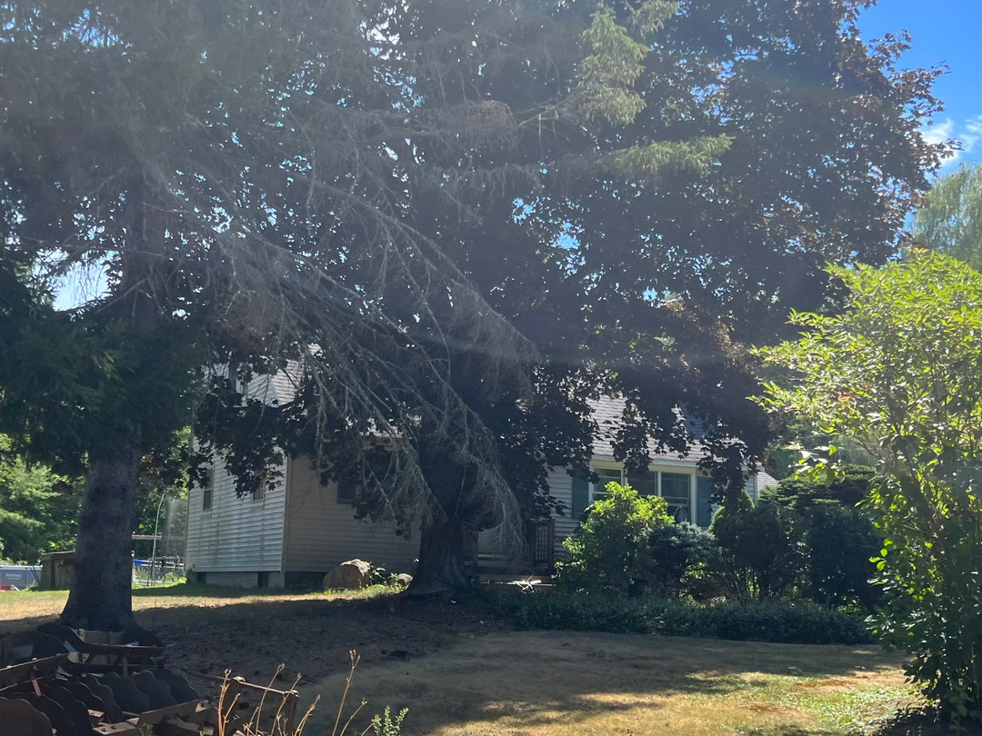 Pelham Rd, Salem, NH 03079 #1