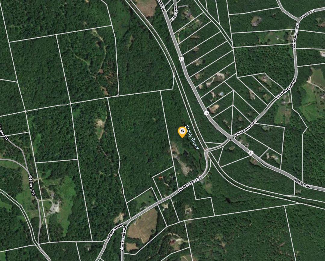 156 Old Temple Road, Lyndeborough, NH 03082 | ServiceLink Auction