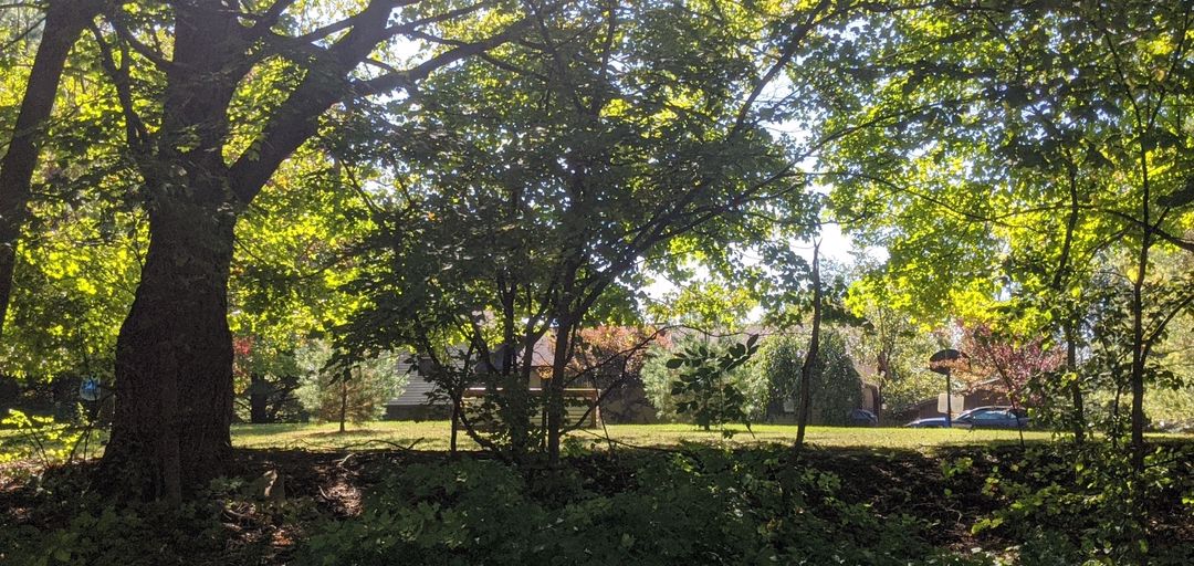 1750 Noble Rd, Williamston, MI 48895 ServiceLink Auction