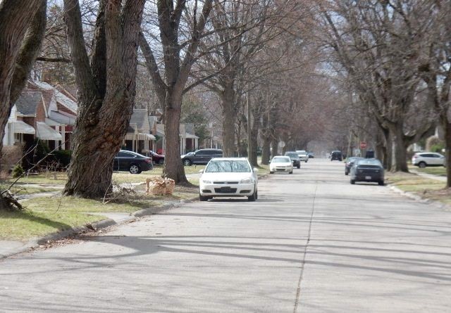 Grayfield , Redford, MI 48239