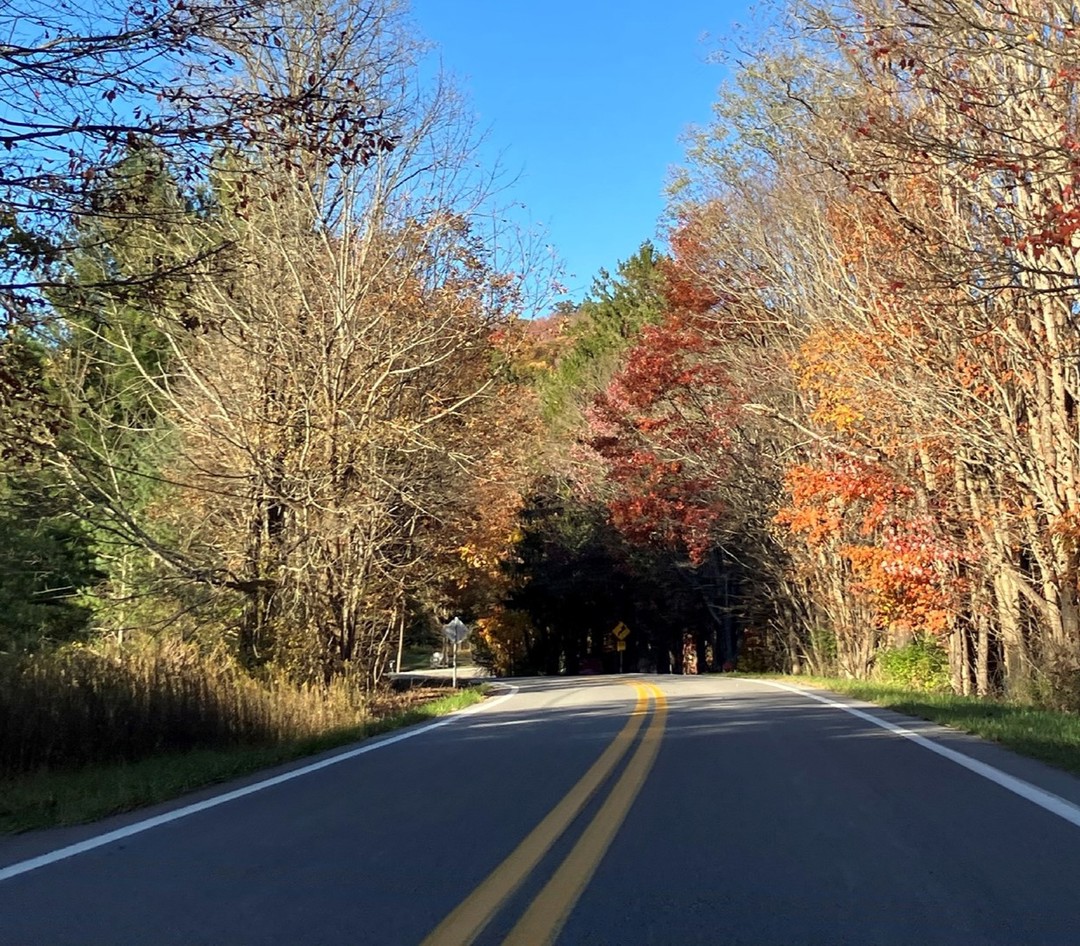 6340 Point Mountain Rd, ster Springs, WV 26288 ServiceLink Auction