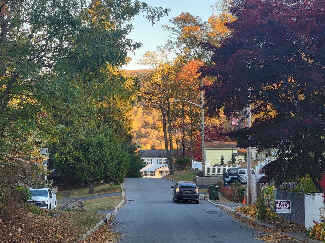 10 Fulton Road, Fort Montgomery, NY 10922 ServiceLink Auction