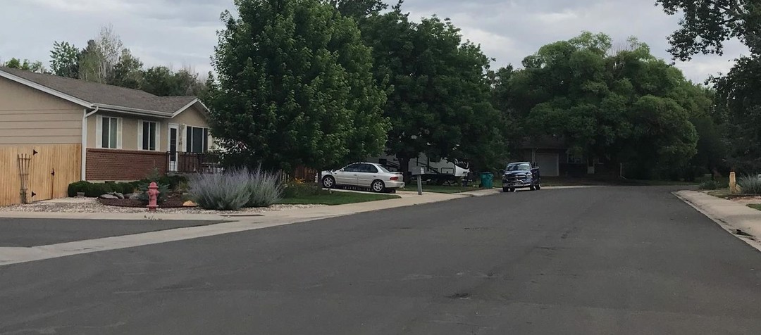 Sycamore Dr, Windsor, CO 80550 #1