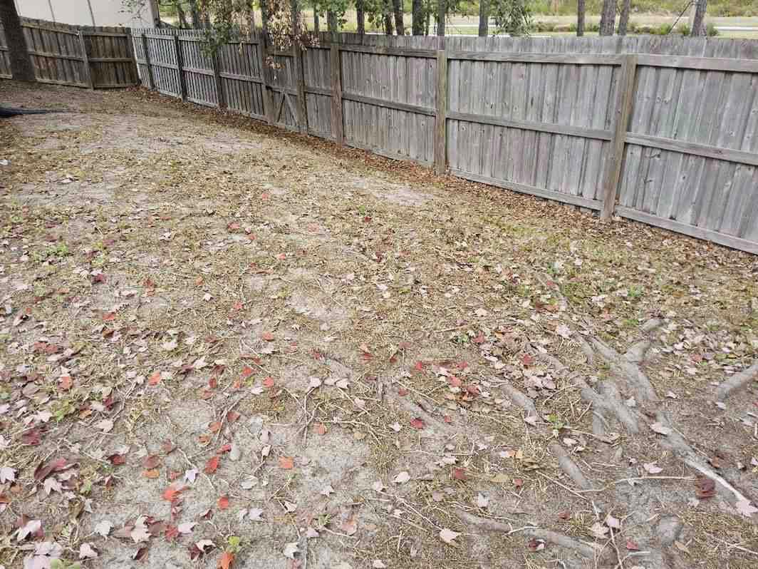 15198 Bareback Dr photo 6